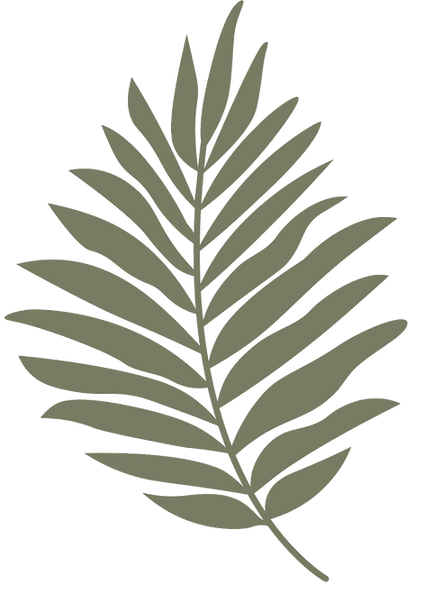 coconut palm
